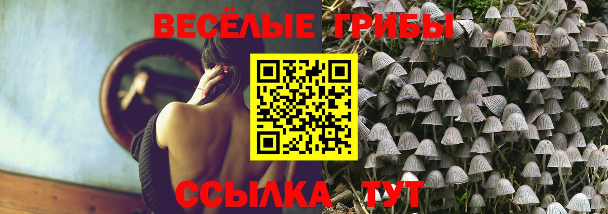 Аксай  Псилоцибиновые грибы прущие грибы  Вход с VPN 