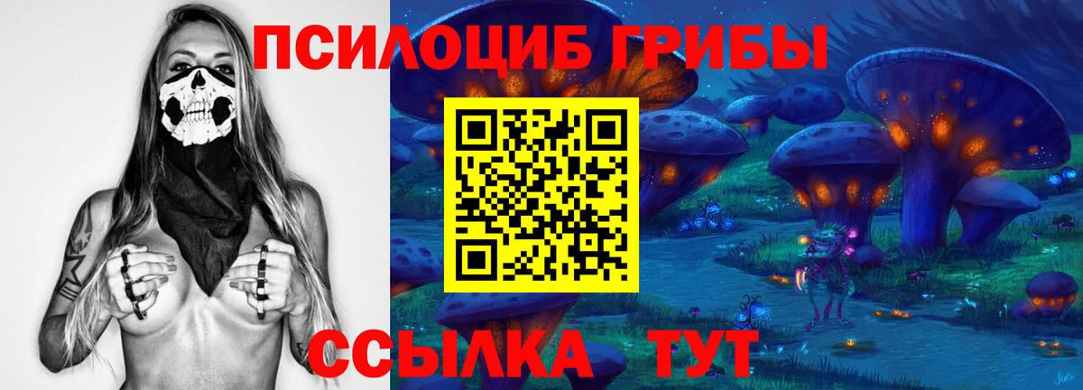 Псилоцибиновые грибы Psilocybe Аксай